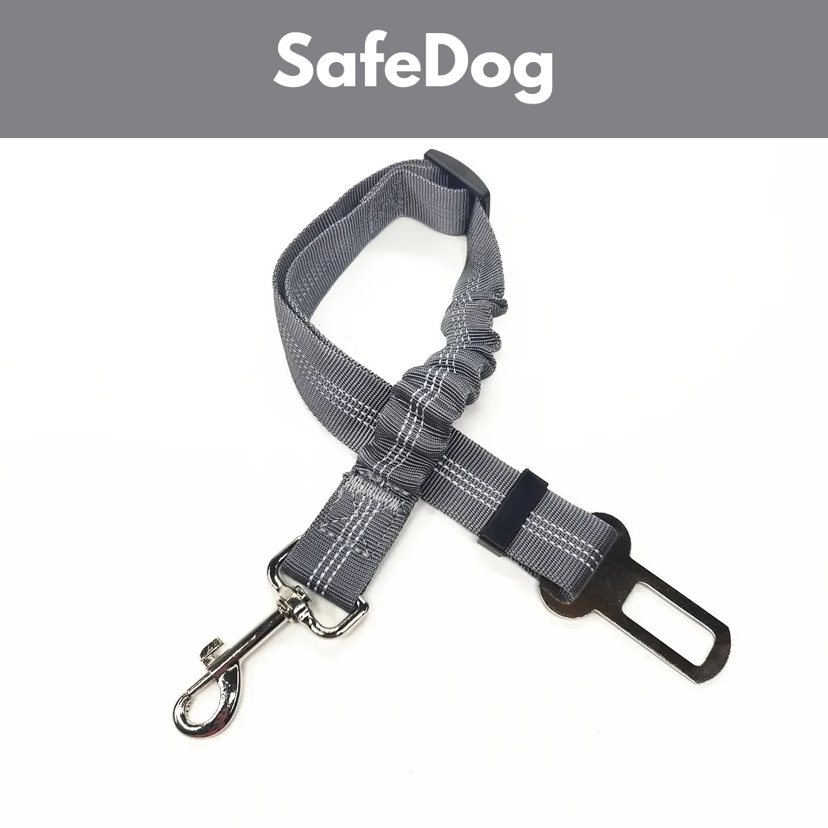 SafeDog