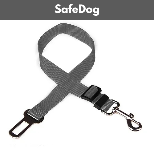 SafeDog