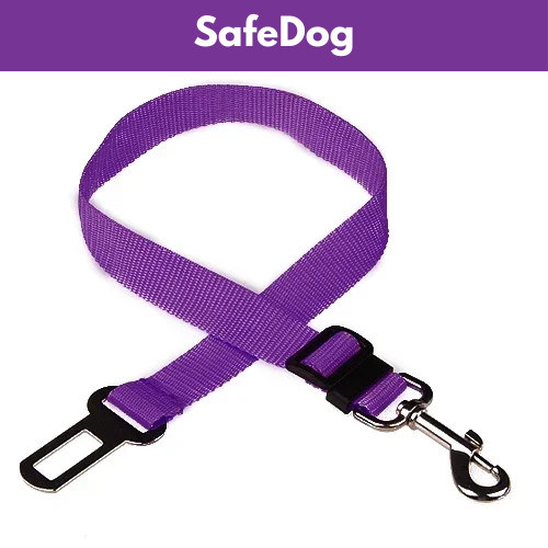 SafeDog