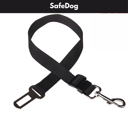 SafeDog