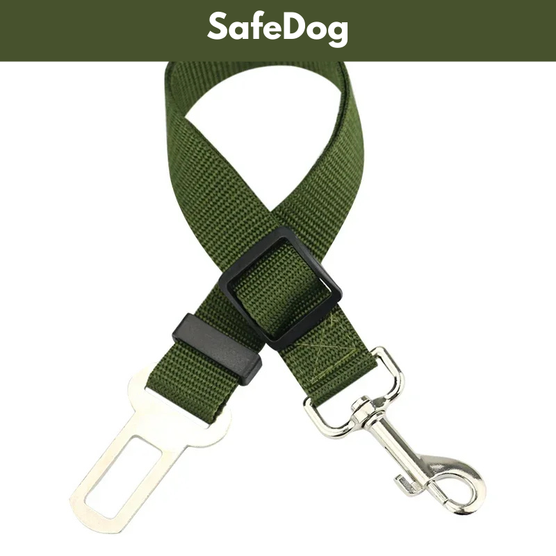 SafeDog