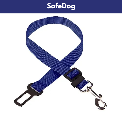 SafeDog