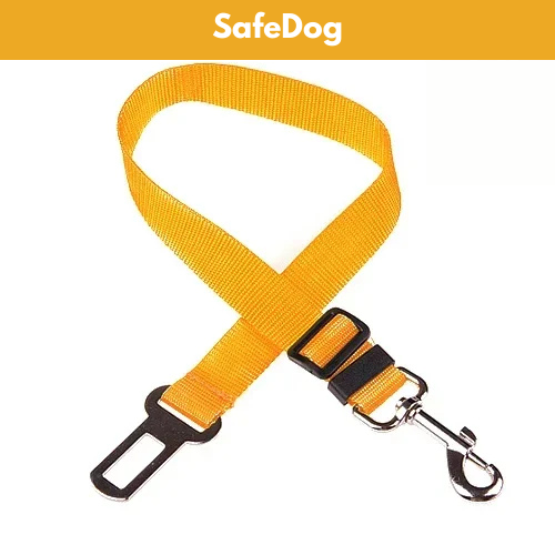 SafeDog