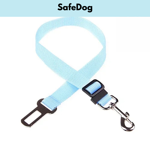 SafeDog