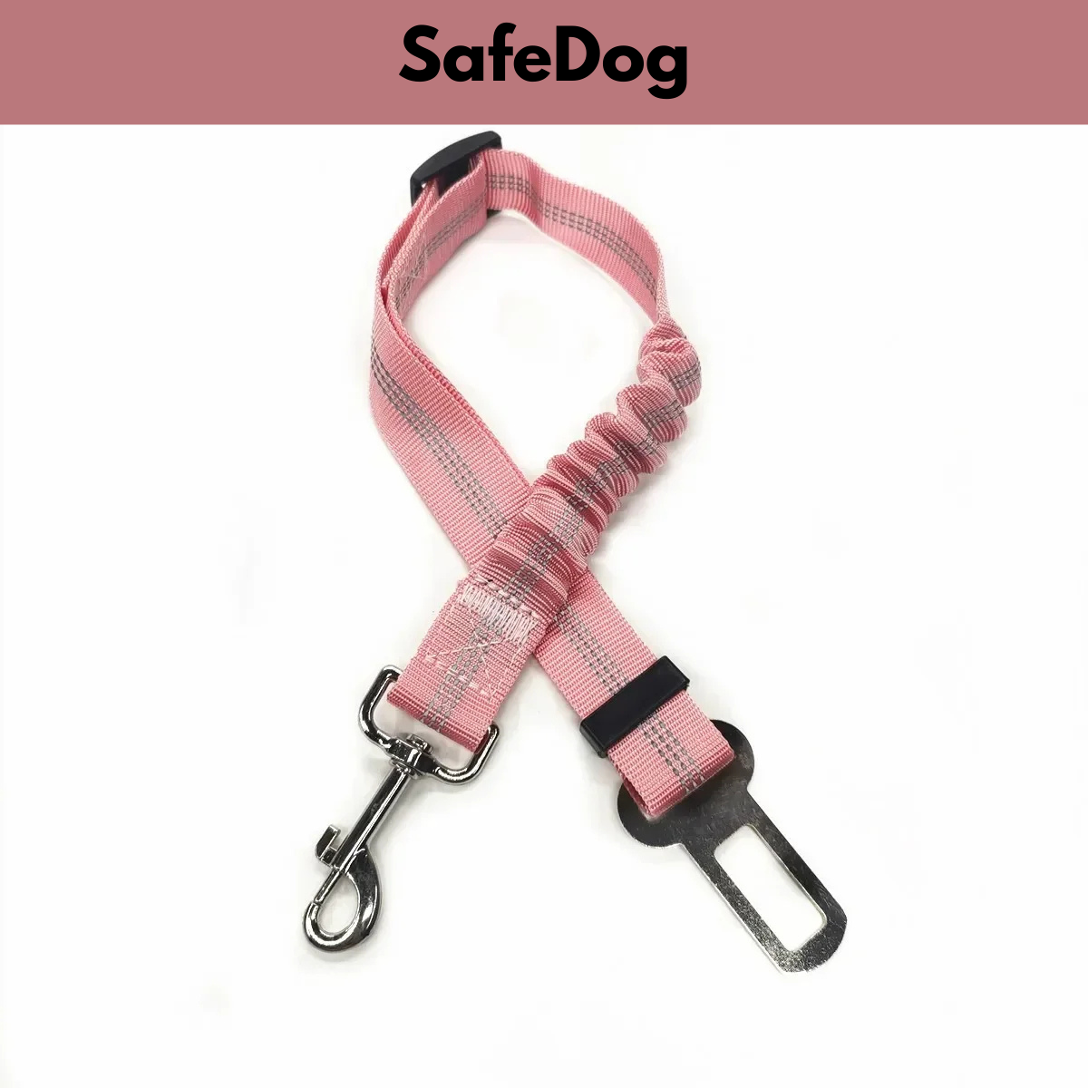 SafeDog