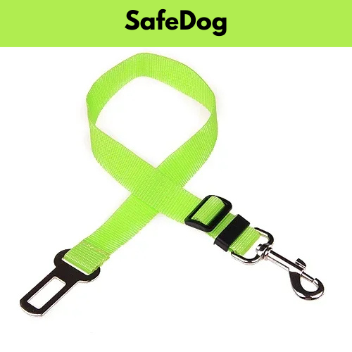 SafeDog