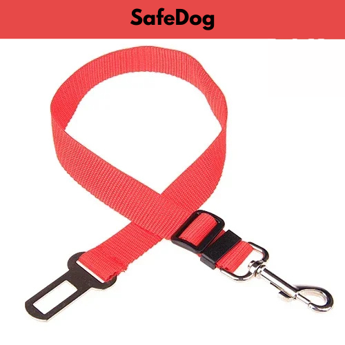 SafeDog