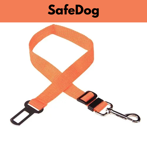 SafeDog