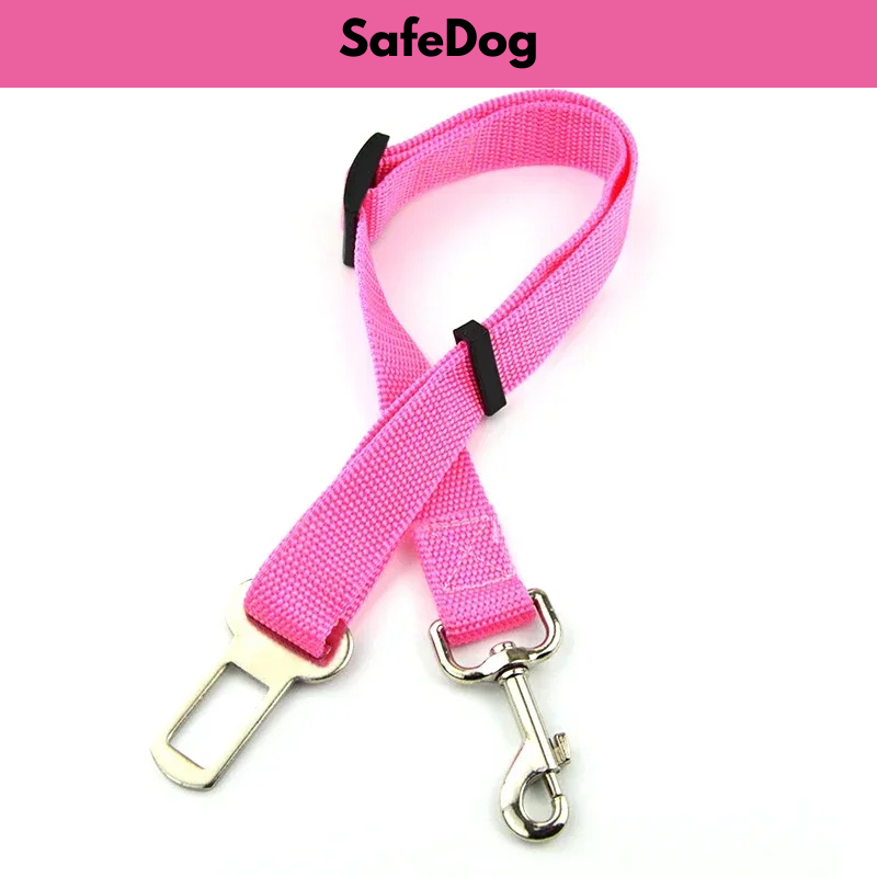 SafeDog