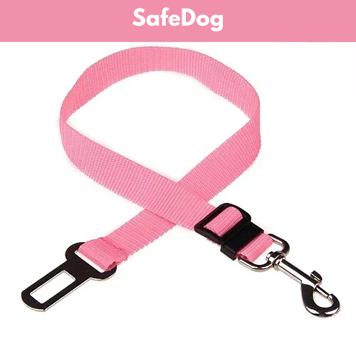 SafeDog